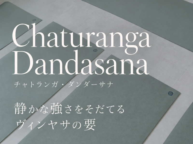 チャトランガダンダーサナとは？正しいやり方と練習のコツ