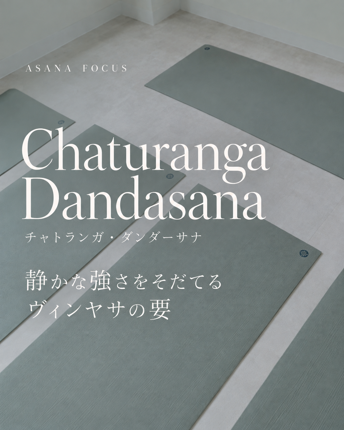 チャトランガダンダーサナとは？正しいやり方と練習のコツ 大阪梅田のヨガスタジオ  STUDIO WANDARA 